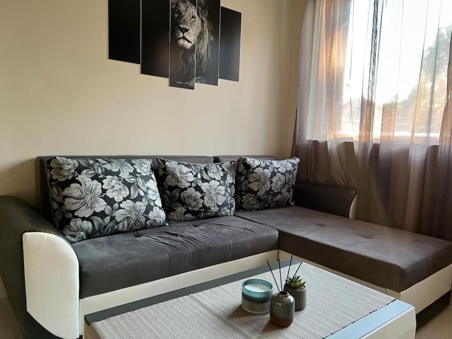 Sof Apartment'S Sofya Dış mekan fotoğraf